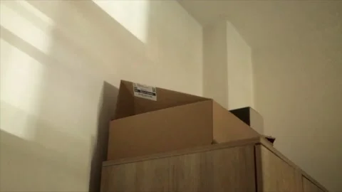 Shadow reflection on the wall Stockbeeldmateriaal 137316884