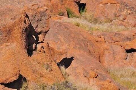 Shadow resembling a howling wolf. Stock Photos
