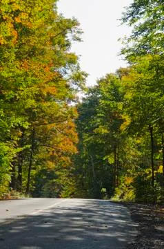 Shadow on the road Stock Photos
