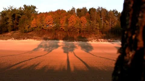 Shadow runs Stock Footage 10606840