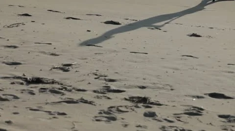 Shadow on the Sand Stock Footage 17226430