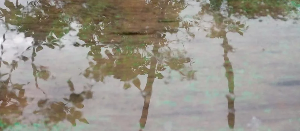 The shadow of the scenery behind the water Stock Photos
