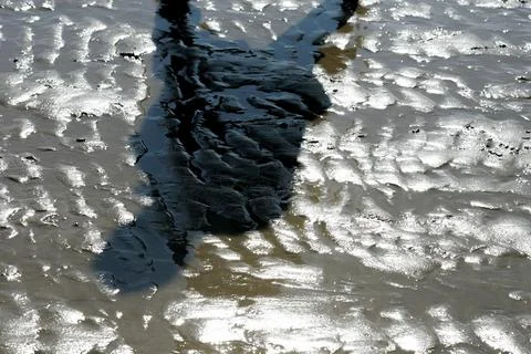 Shadow on the Seaside Sand: A Harmony of Light, Waves, and Natural Textures Foto stock
