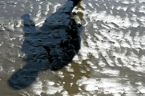Shadow on the Seaside Sand: A Harmony of Light, Waves, and Natural Textures Stock Photos