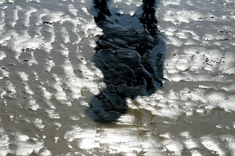 Shadow on the Seaside Sand: A Harmony of Light, Waves, and Natural Textures Stock Photos