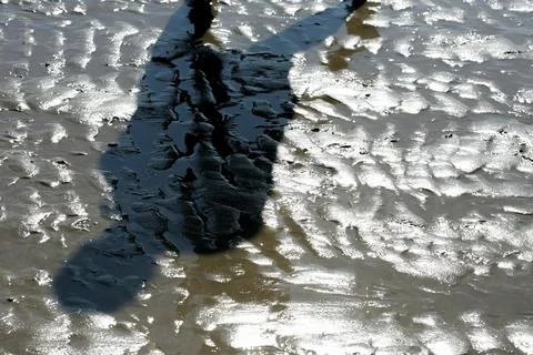 Shadow on the Seaside Sand: A Harmony of Light, Waves, and Natural Textures Stock Photos