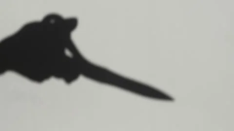 The shadow of sewing scissors falls with precision Stock Footage 306501294