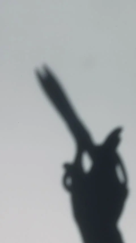 The shadow of sewing scissors symbolizes the importance . Stock Footage 306618559