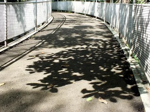 The shadow of a shady tree over a bridge in a city park. Stock Photos