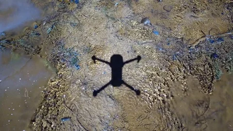 Shadow in the shallows Stock Footage 91273594