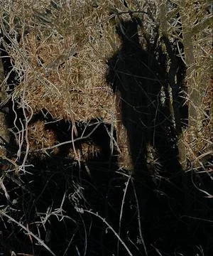 Shadow shot Stock Photos