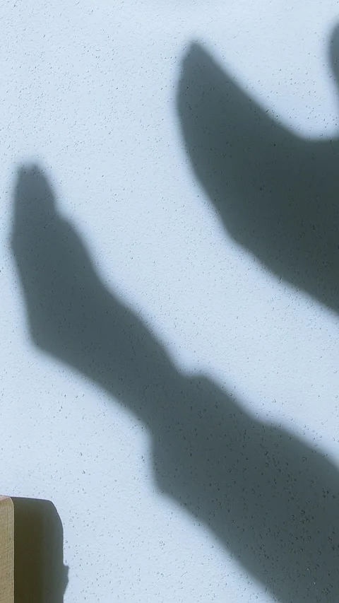 Shadow Silhouette of Open Hands in Prayer  Spiritual Devotion, Hope, and Fa.. Stock-Footage 303755434
