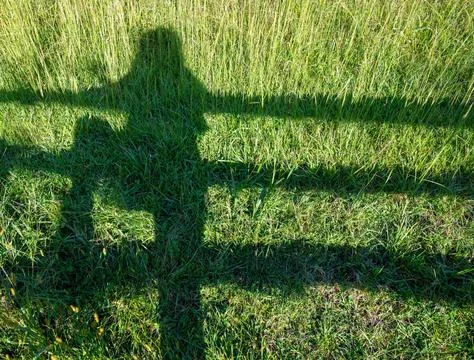 Shadow silhouette of person leaning on split rail fence in green pasture Foto stock