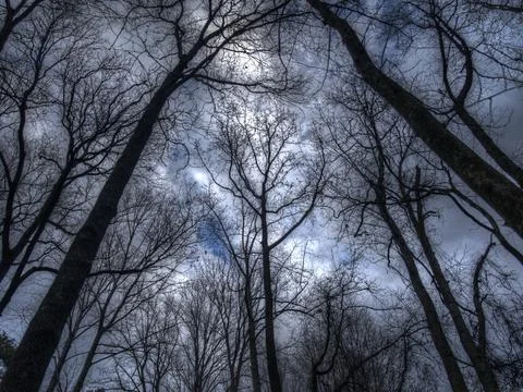 Shadow Sky 스톡 사진