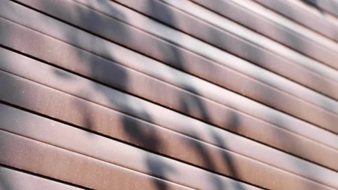 Shadow from a slowly moving plant on the wall. Stock Footage 194232900
