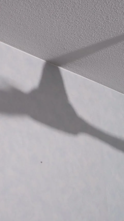 Shadow of spinning ceiling fan on wall Stock Footage 345661498