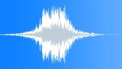 Shadow spirit 05Sound Effect
