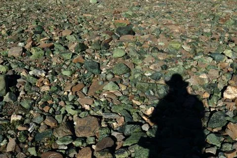 Shadow on the stone Stock Photos