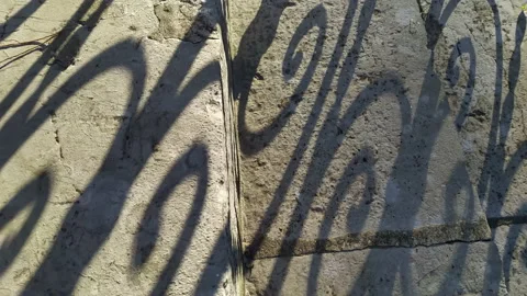 Shadow on stone slabs cast by the curved pattern of wrought iron fence Stock Footage 233492784