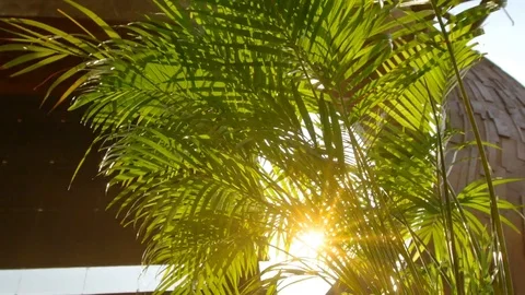 Shadow of the sun Video stock 75829040