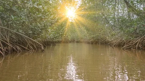 Shadow of the sun Stock Footage 77955270