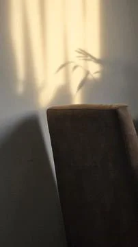 Shadow Sunlight Stock Photos