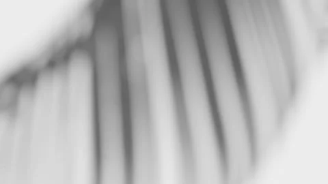 Shadow of the swaying palm leaf overlay on a white background Stock Footage 261049084