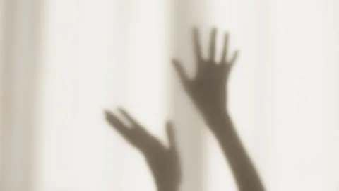 Shadow theater and doing dance a flying bird with hands. Shadows Stock Footage 275158590