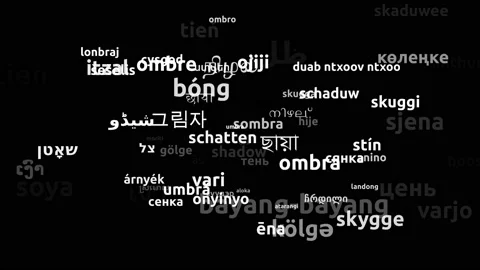Shadow Translated in 73 Worldwide Languages Endless Looping 3d Zooming Wordcl Vidéo 145204826