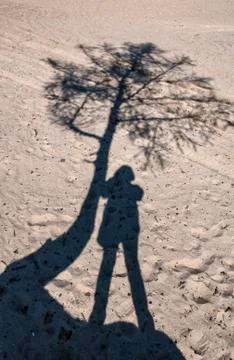The shadow of a tree and a man on the sand Stock Photos