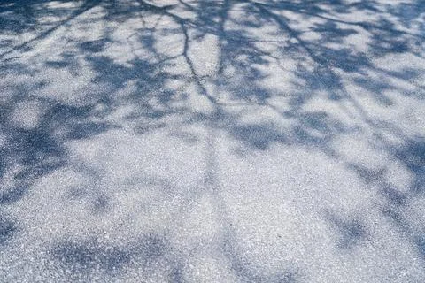 Shadow of a tree on a asphalt floor, Shadows sway from the sunlight on floor Stock Photos