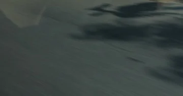 Shadow of tree on asphalt road with car driving trip travel, abstract intro conc Stock Footage 86009683