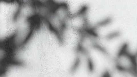 The shadow of a tree branch on the gray wall of the building. Video stock 203932338