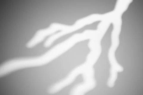 The shadow from a tree branch or lightning on a white wall in sunny weather w Foto stock