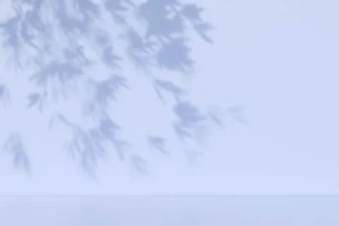 Shadow of tree branches on a light blue wall. Illustrazione stock