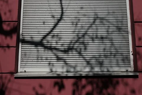 Shadow of tree branches on pink building with plastic window shutters. Abstra Foto stock