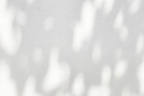 Shadow of Tree Branches on White Cool Concrete Wall Background. Stock Illustration