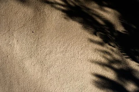 A shadow of a tree is cast on a sandy surface Stock Photos