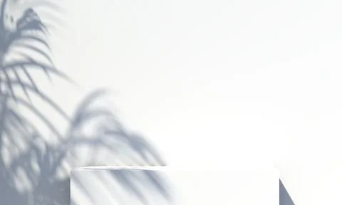 Shadow from a tree falling on a white wall. 3d rendering Stock Photos