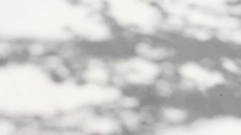 The shadow of a tree on a gray concrete surface. Stock Footage 194232904