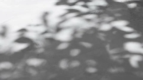 The shadow of a tree on a gray surface with light spots from the sun. Video stock 203932199