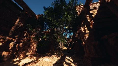 The shadow of a tree on the ground 스톡 일러스트