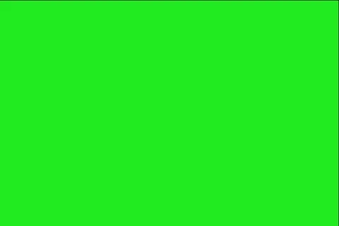 Shadow of tree growing on green background Stock Footage 2351401