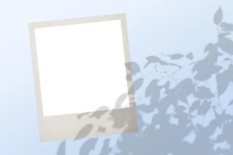 Shadow tree with leaves on a gray background. abstract image Foto stock