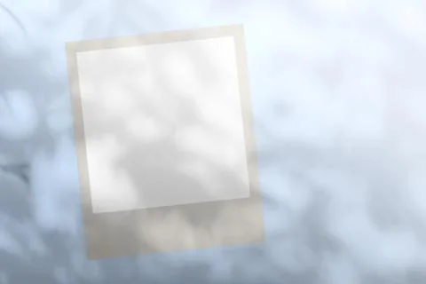 Shadow tree with leaves on a gray background. abstract image 写真素材