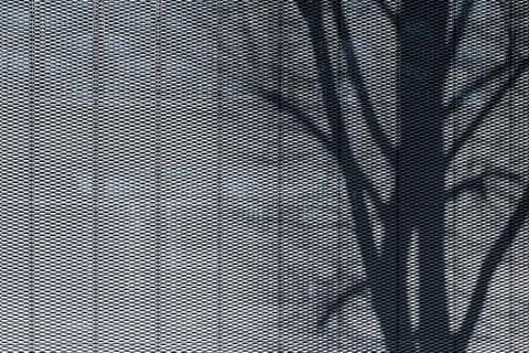 Shadow of tree on perforated metal plate structured facade texture cladding m Stock Photos