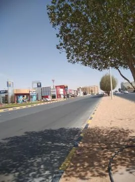 The shadow of the tree Stock Photos