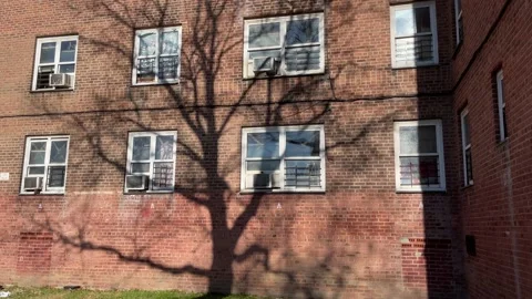 Shadow of a tree on public housing Stock Footage 168539387