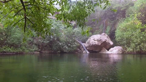Shadow Of Tree On Rock By River Beatiful waterfall and lake in tlemcen algeria Stock Footage 143131744