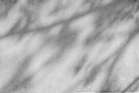 Shadow of tree on rough wall background Stock Photos